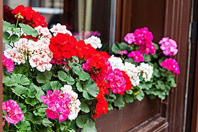 DLSS加速6款新游戏，包括《钢铁之种》(Steel Seed)、《塔罗斯法则：重启》等